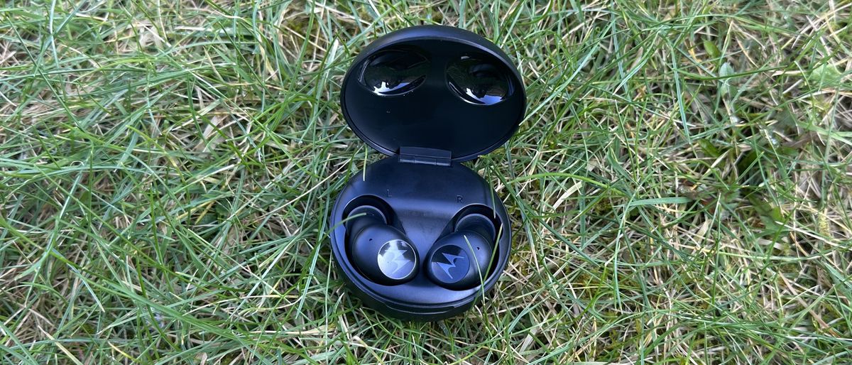 Motorola Moto Buds 150 open in their charging case on grass.