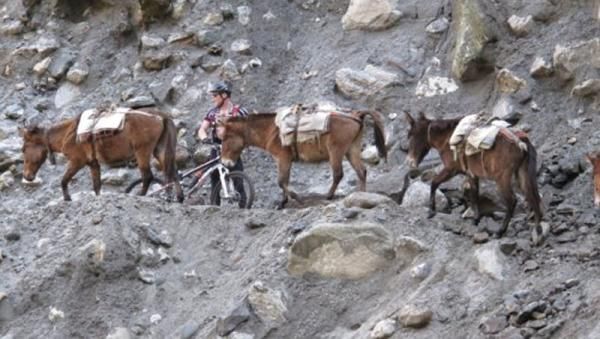 Sometimes racers may encounter a pony train