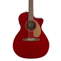 Fender Newporter Player Limited Edition