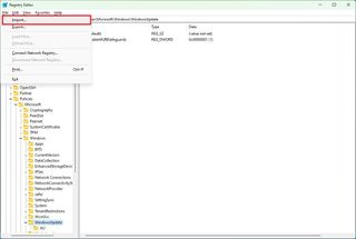 Windows 11 Registry import