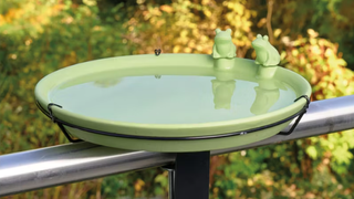 Aldi Belavi Bird drinking trough with frogs