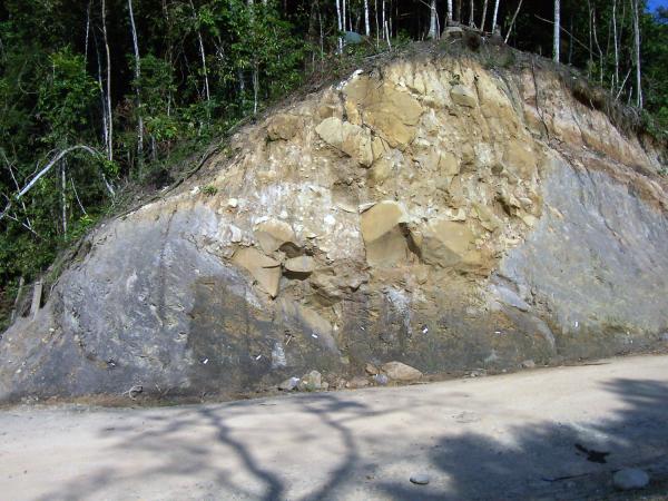 These are outcrops of the Paleocene-Eocene Thermal Maximum section along the Gonzales section, Catatumbo, Colombia.