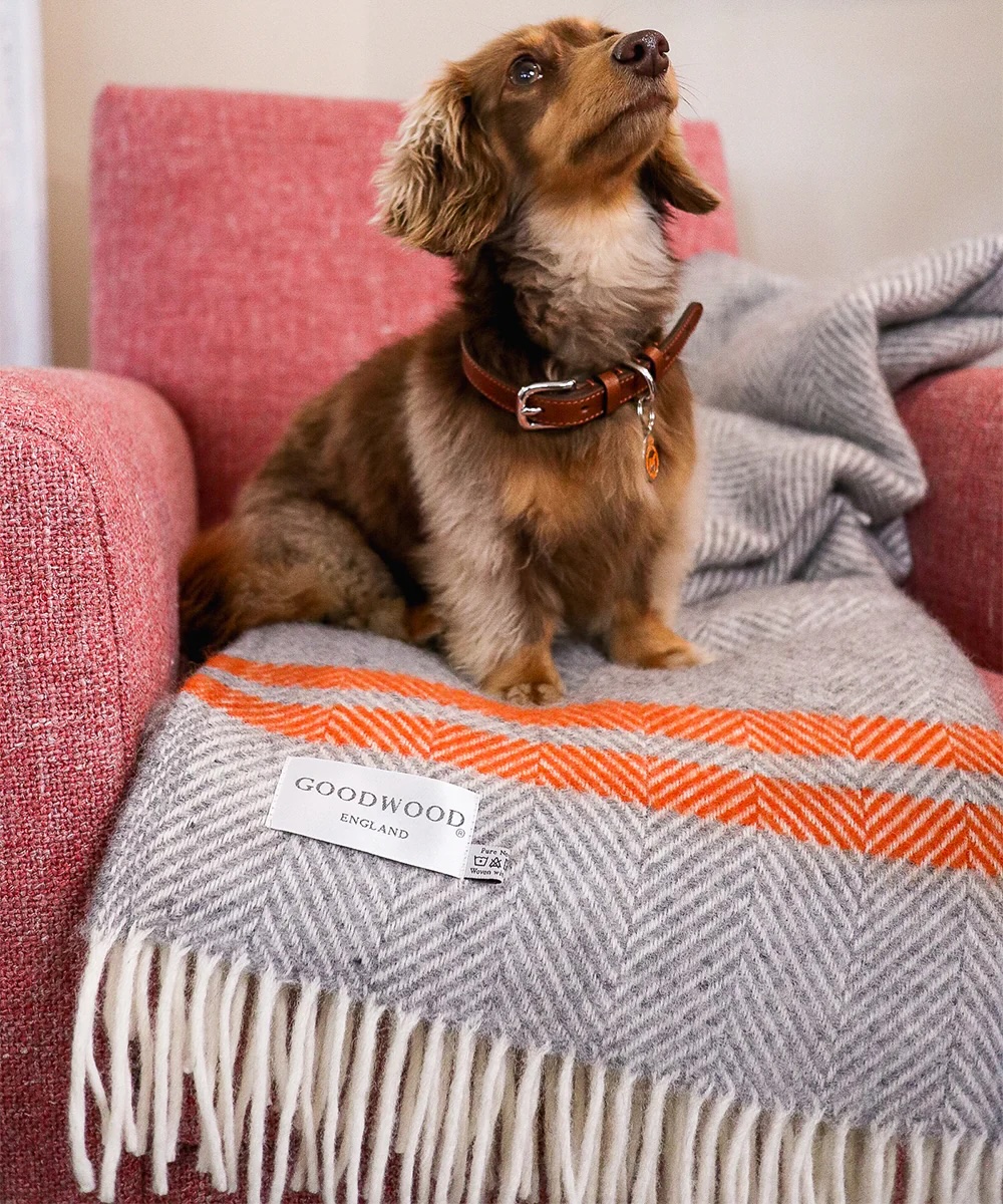 Goodwoof large fishbone grey and orange rug