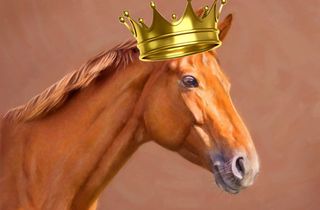 The weirdest Crusader Kings 2 mods: foal portraits