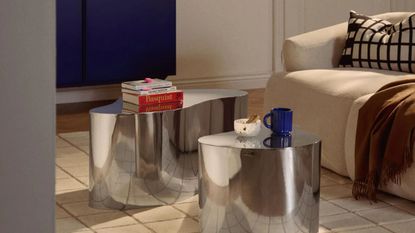 Westwing Metal Coffee Tables Dale in Organic Shape, Set of 2 in a living room