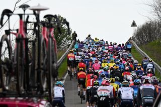 The peloton riding stage two of Tirreno-Adriatico 2025