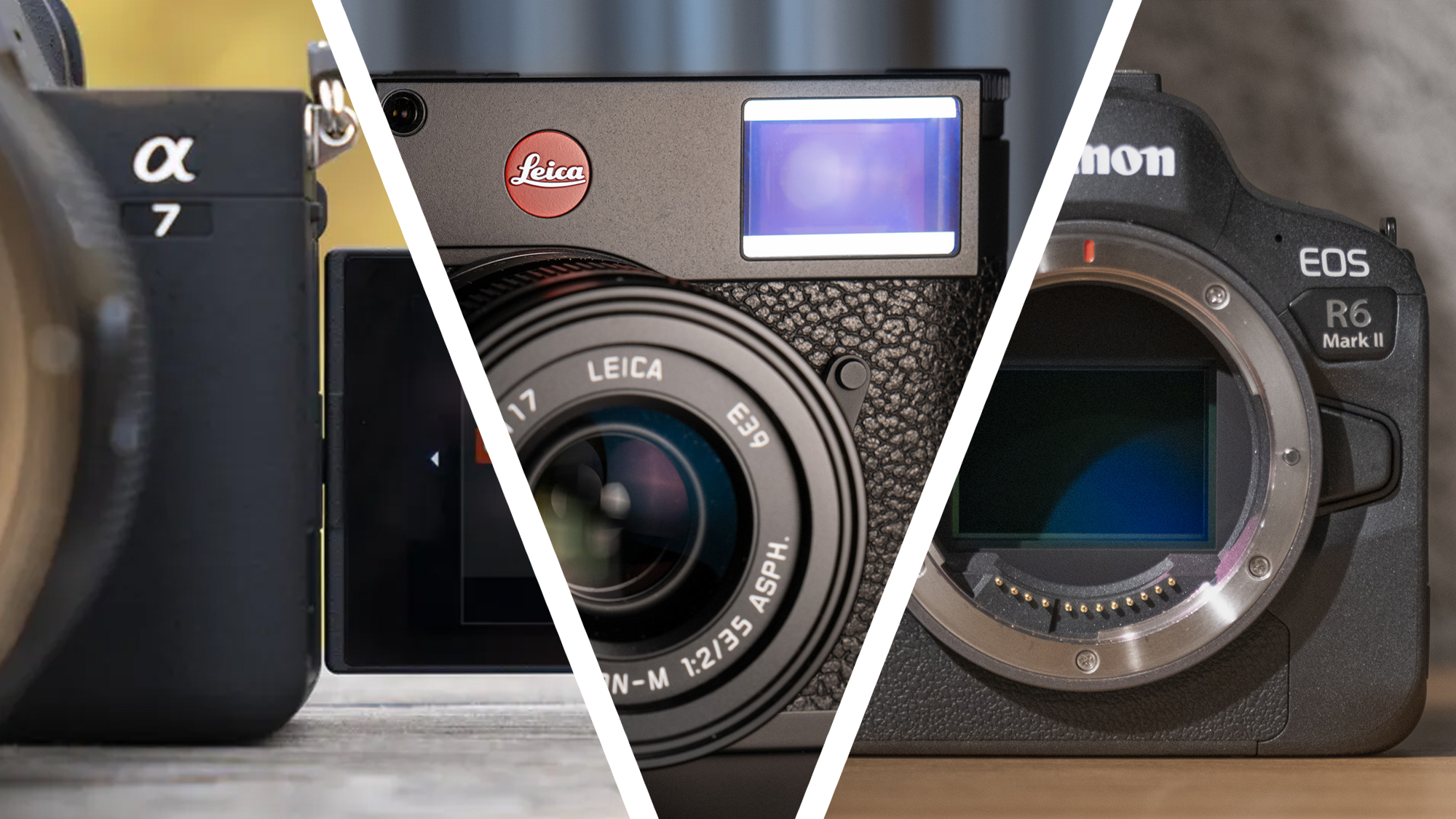 Sony, Leica and Canon cameras in a split image