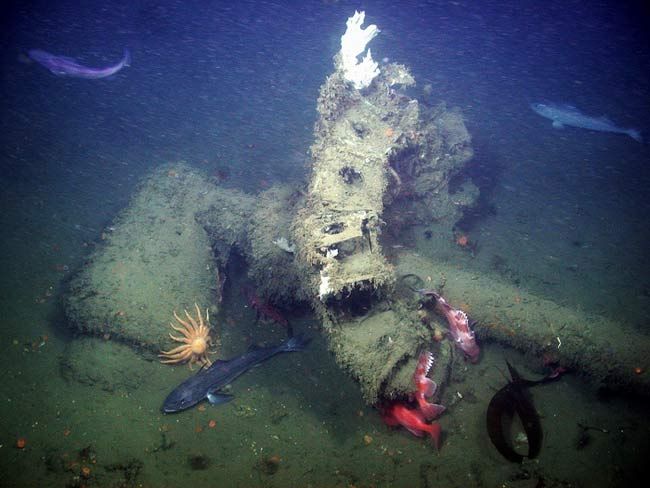 new-photos-reveal-1935-airship-at-bottom-of-pacific-ocean-live-science