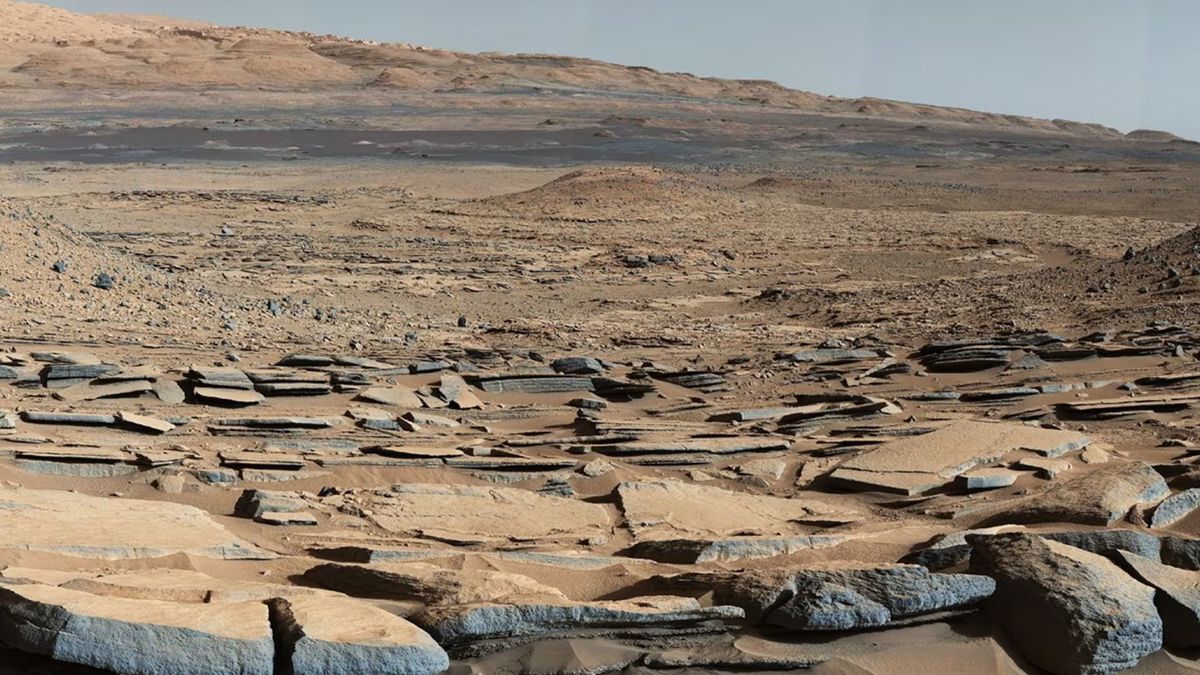 A bunch of rocks in a sandy landscape