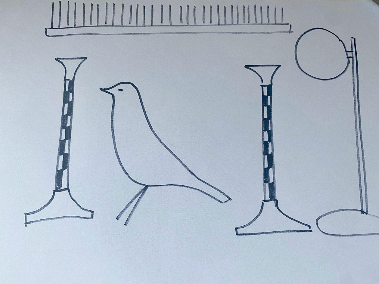 bird