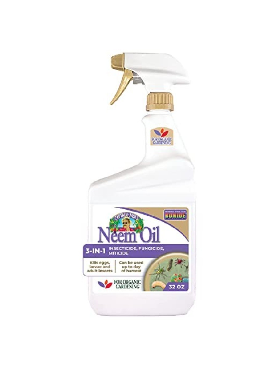 spray bottle of Captain Jack's Neem Oil