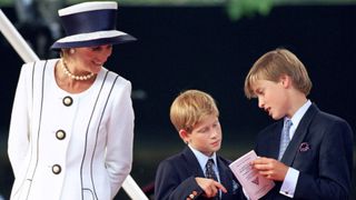 Prince William Harry conversation Princess Diana's death