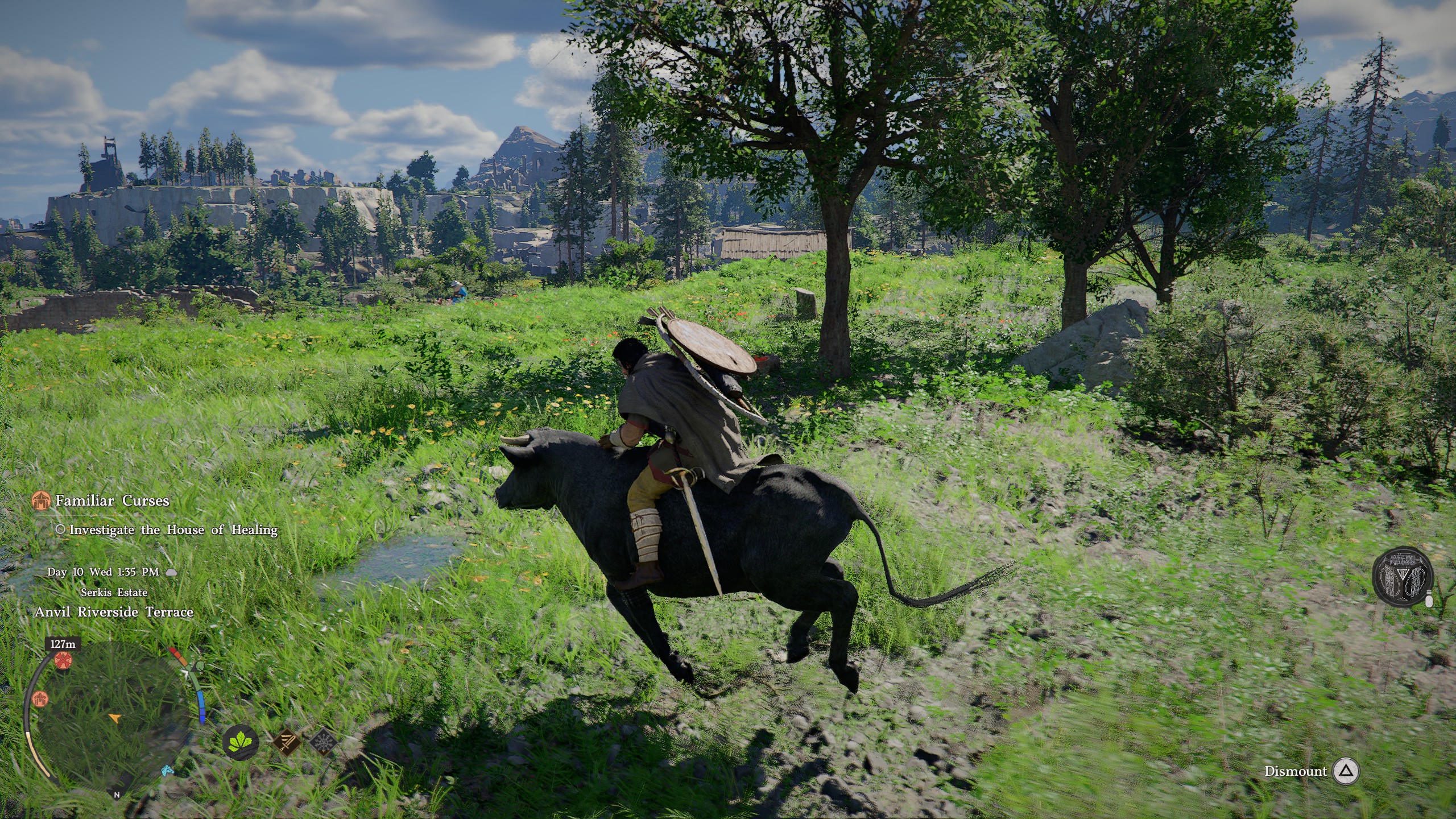 Kliff rides a cow.