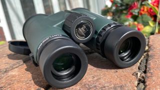 Celestron Nature 8x42 binoculars on a wall