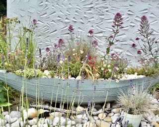 wooden boat-shaped container planted with wildflowers