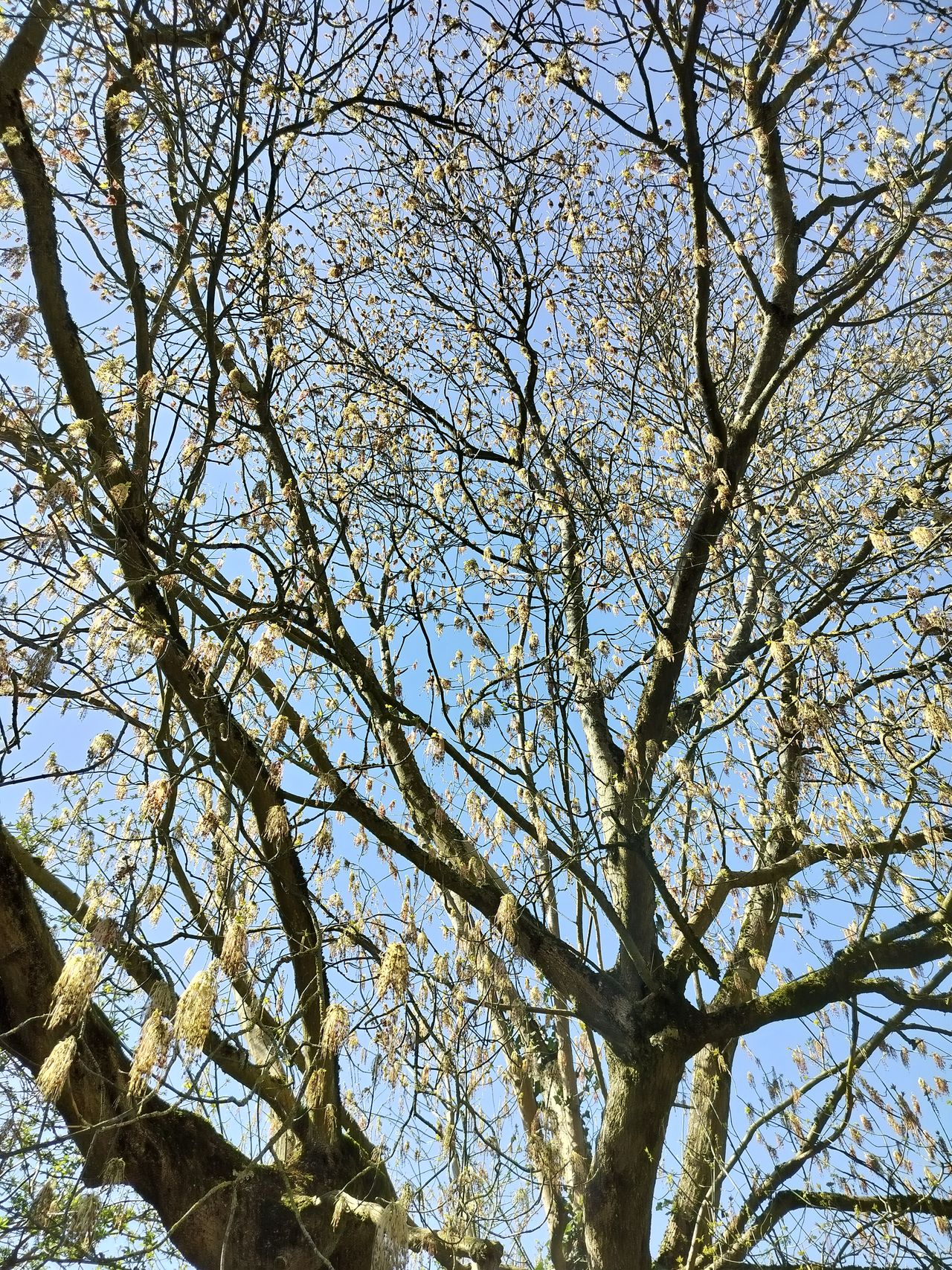 A photo captured on the OnePlus Nord CE 3 Lite 5G