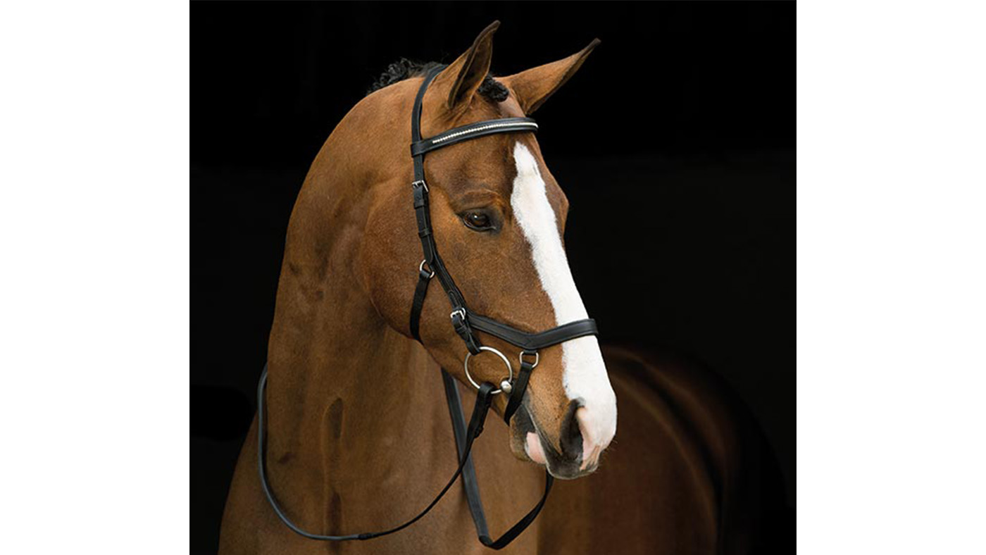 Rambo Micklem Diamante Competition Bridle