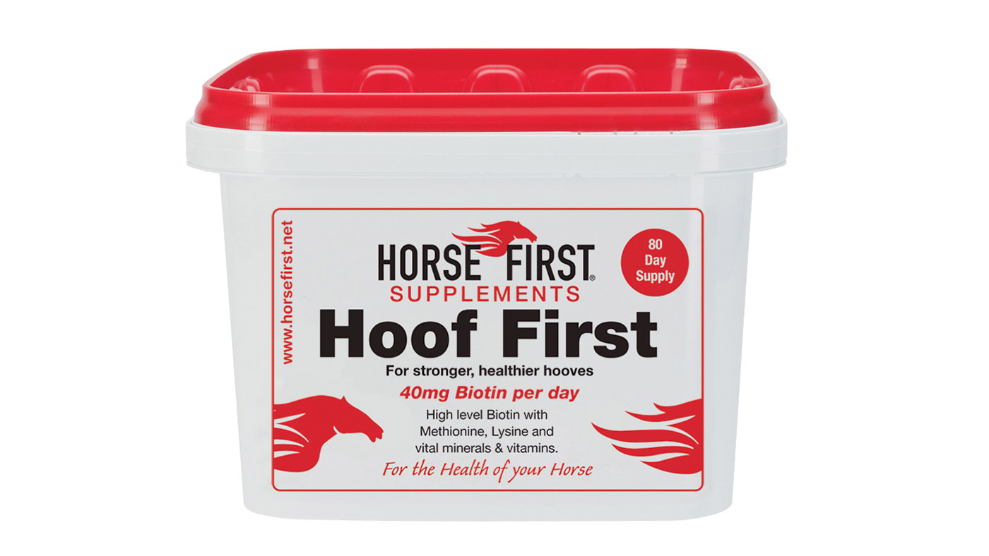Horse First Hoof First