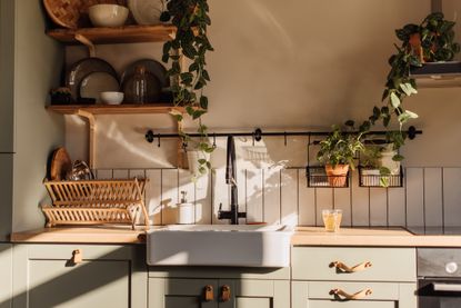 A modern kitchen with sage green cupboards and gold handles, with a farmhouse style ceramic sink, trailing plants, wooden shelves with plates and a black tap.