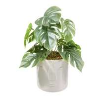 Habitat Boho Small Faux Face Plant | £6 at Habitat