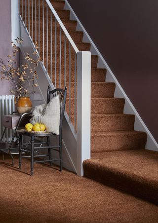 brown carpeted staircase in modern hallway