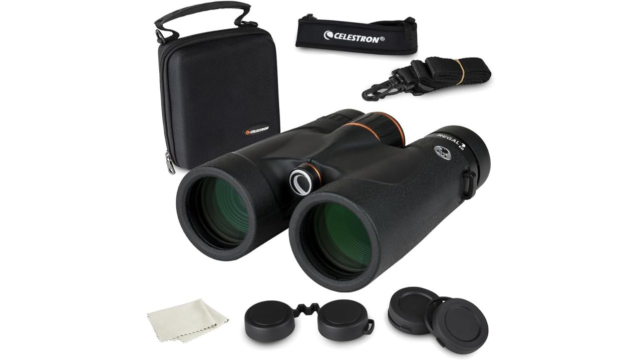 Celestron Regal ED 8x42 on a white background