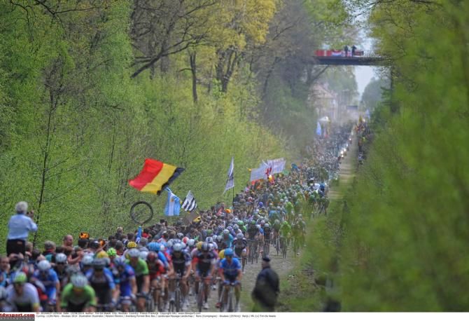 The Arenberg pave was the cause of numerous punctures today