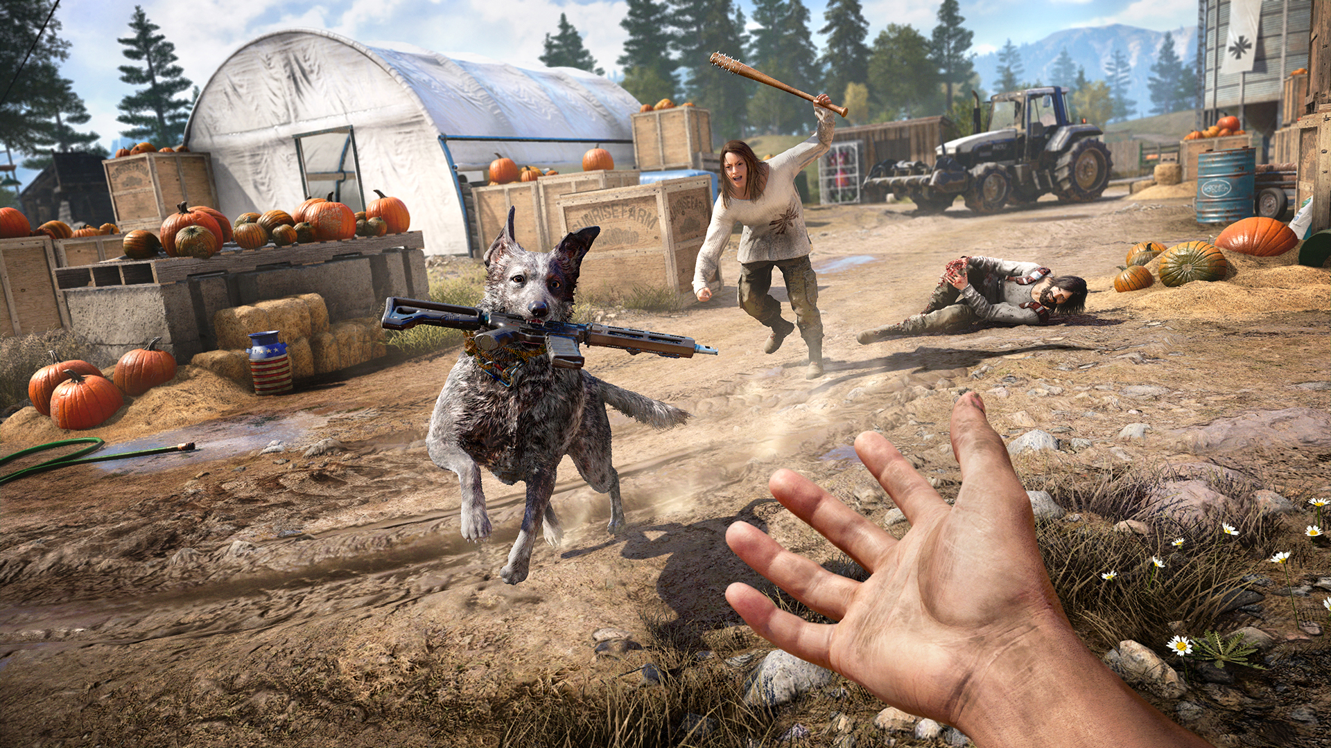 Boomer the dog companion in Far Cry 5 carries a rifle in his mouth to the protagonist as a woman with a wielding a bad chases after him 