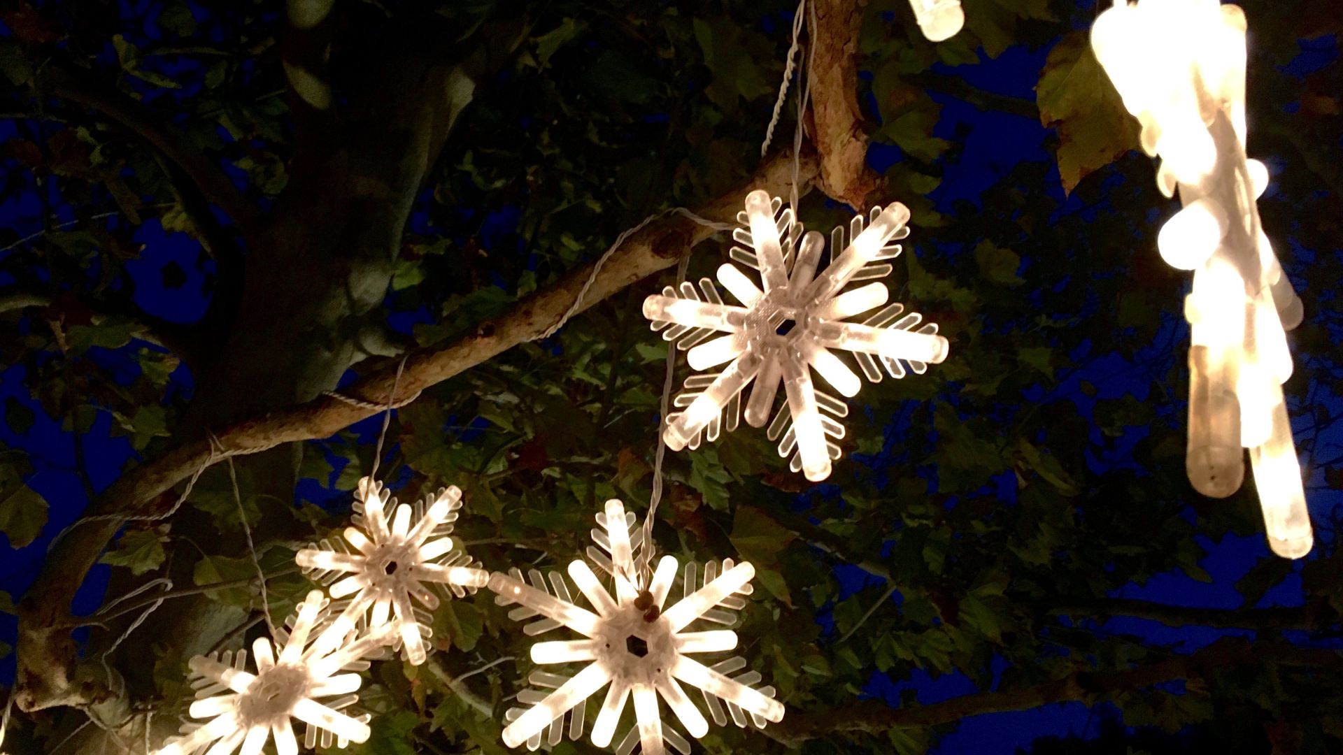 picture of light up snowflakes hanging off tree