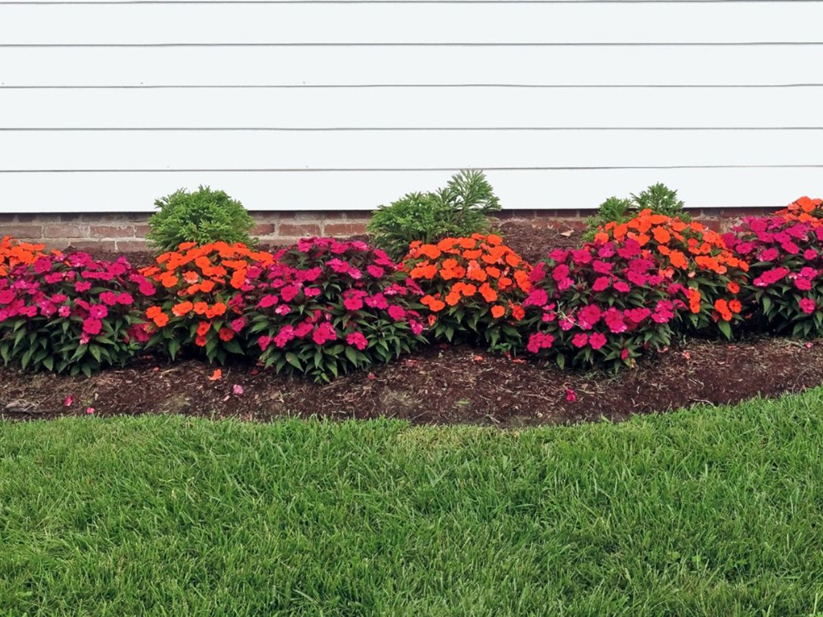 Unwanted Grass In Flower Beds Getting Rid Of Grass In A Flower Bed