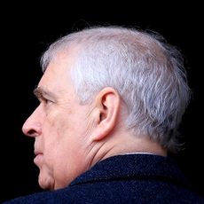 The former Prince Andrew is photographed against a pitch black background, he has white gray hair and is wearing a speckled navy coat