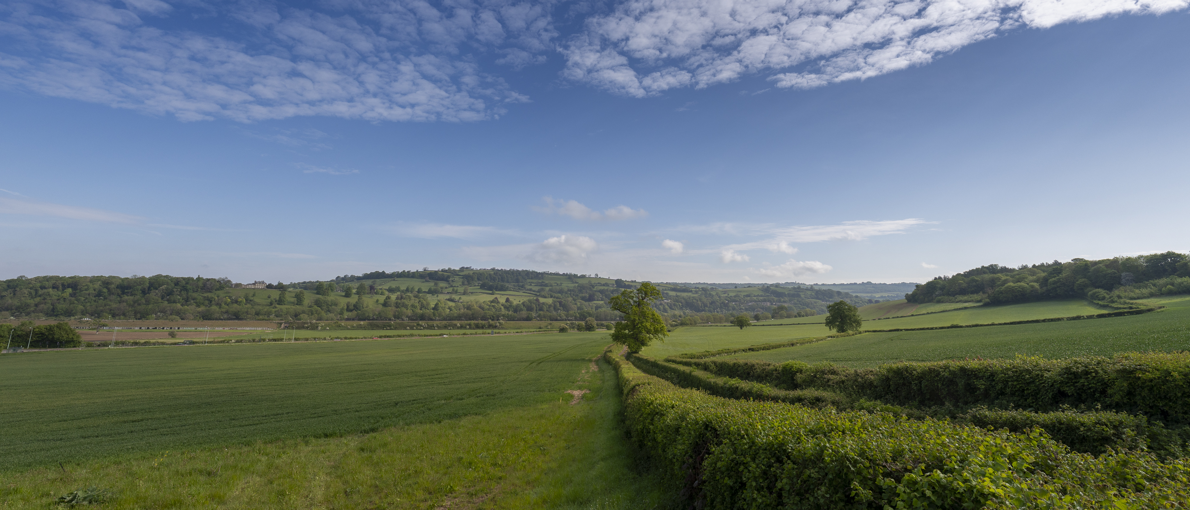 Blue sky and grassy views, wide landscapes shot with 14mm prime lens