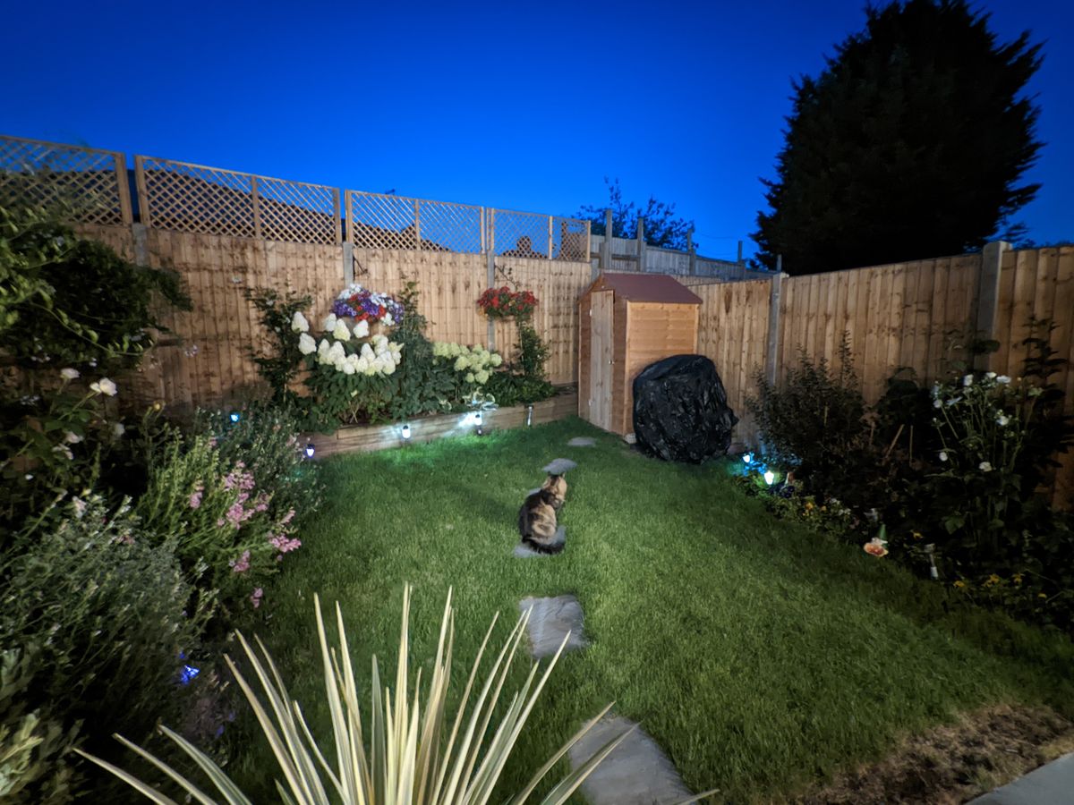 A photo taken on the Google Pixel 6a