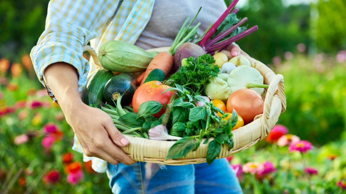 7 Fast-Growing Vegetables That Thrive on Neglect, Even if You Forget to Water – Sow Them in July For the Easiest Fall Harvest, Ever