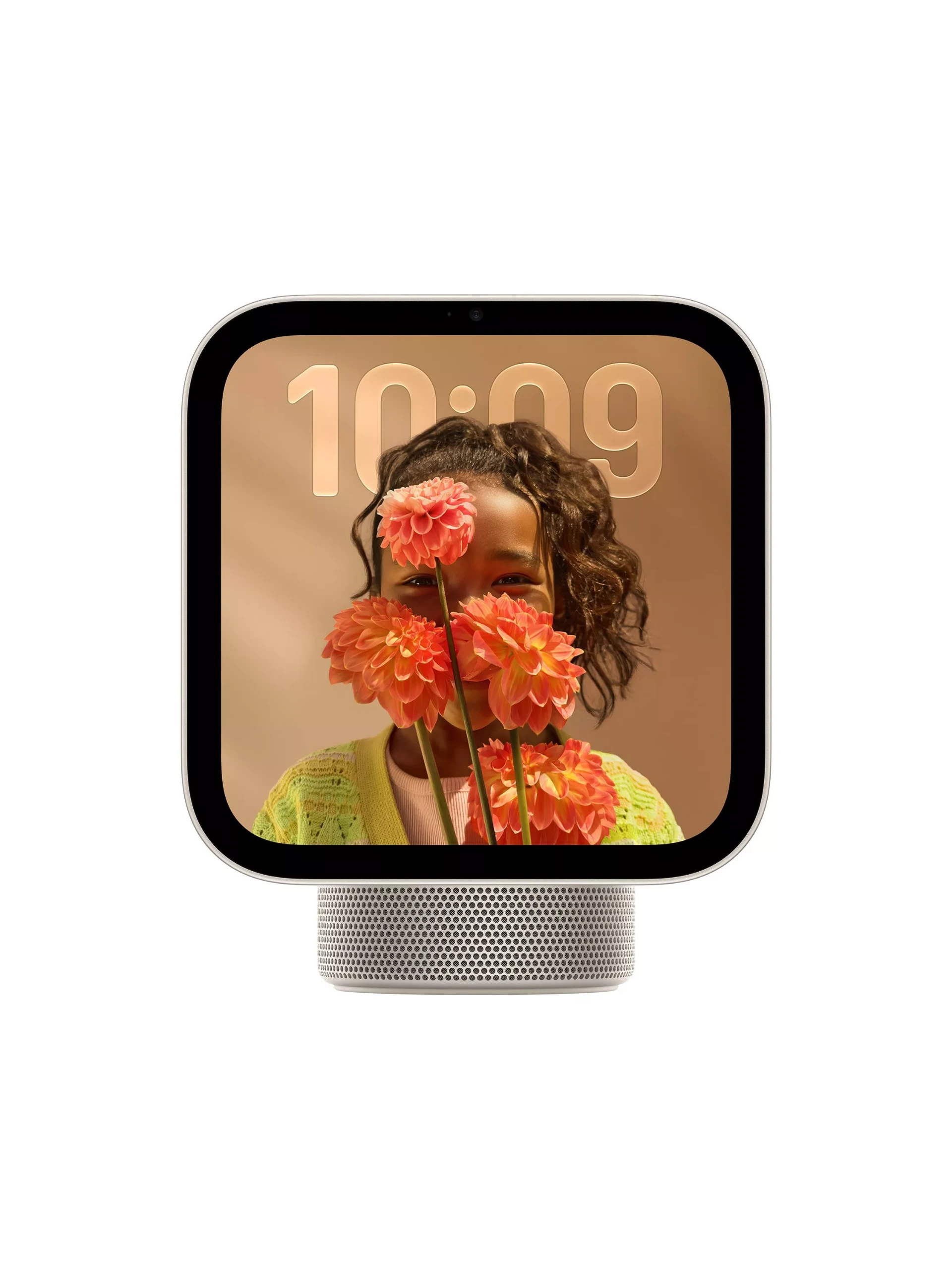 Apple Homeview, Silver