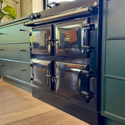 Black aga range cooker flanked by dark green cabinets