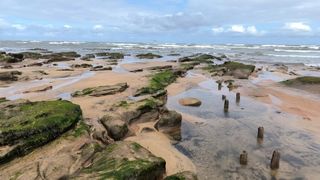 A wide shot shows a rocky, sandy beach at low tide under a cloudy sky, with waves in the distance and several weathered wooden posts sticking out of the wet sand.