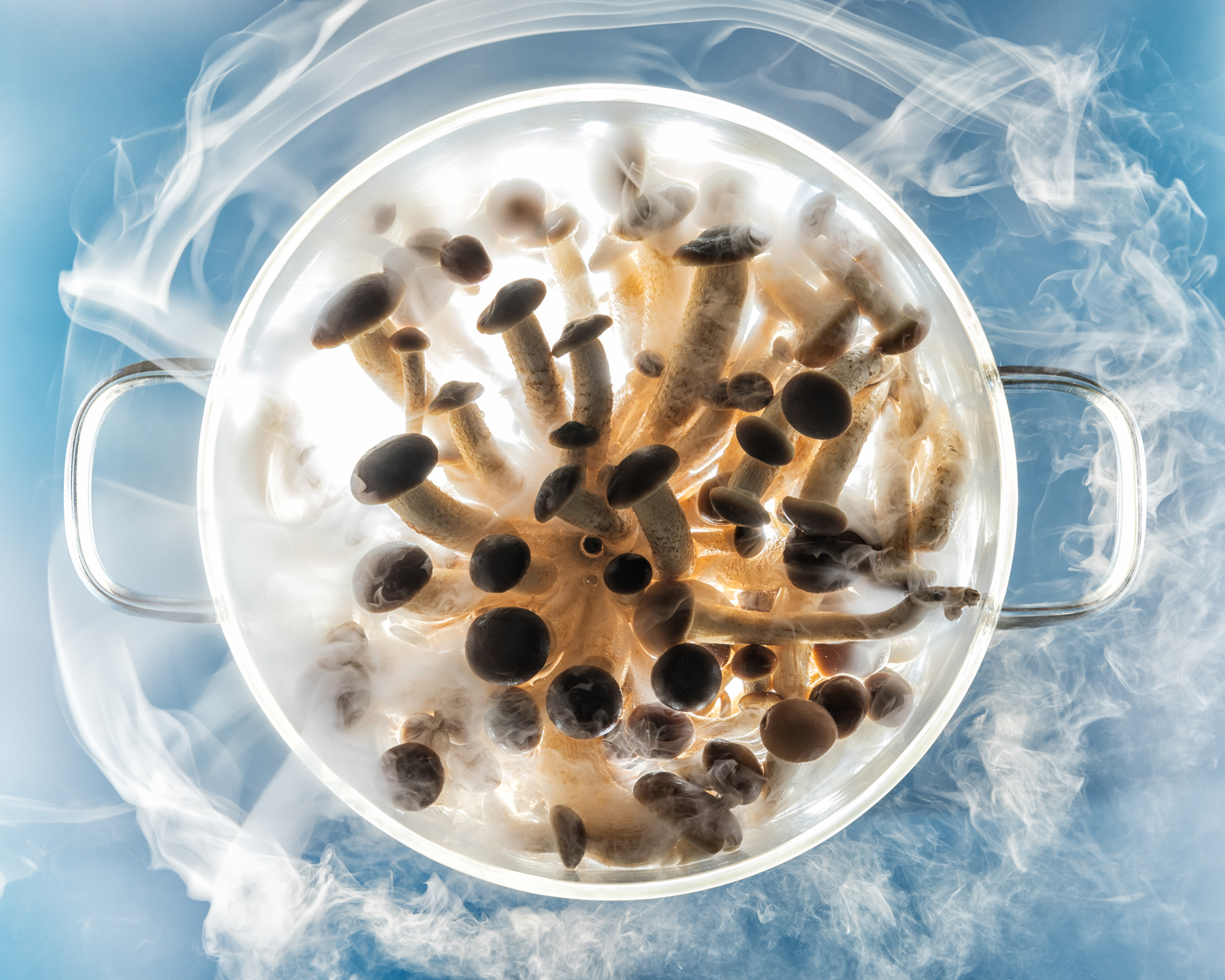 A pot filled with various mushrooms, emitting steam, sits against a blue background, showcasing a fascinating culinary scene