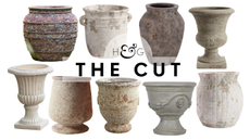 The Cut antique-style planters hero image