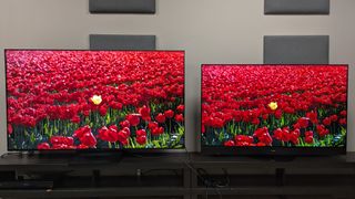 TCL C7K mini-LED TV left and Panasonic MZ1500 OLED TV right displaying red flowers on screen