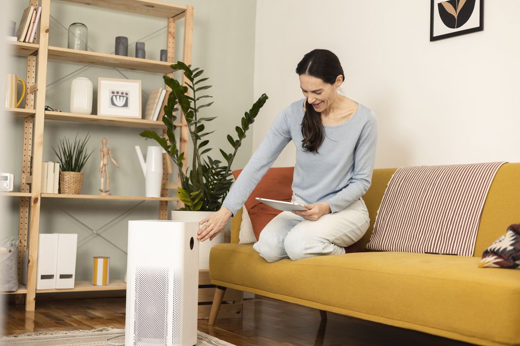 Do air purifiers help with dust? Live Science