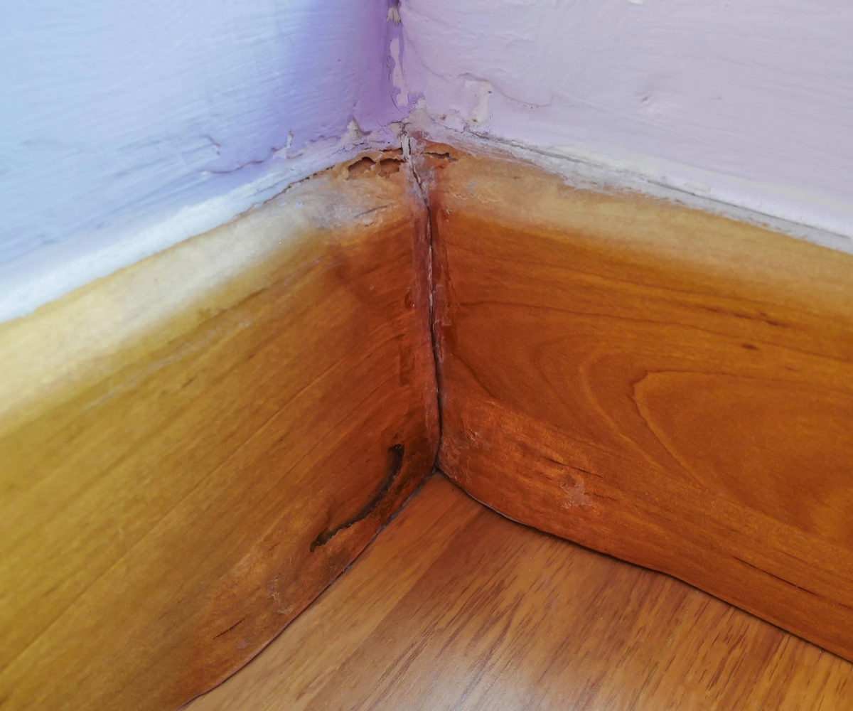 Mould on skirting boards: causes, removal and prevention | Homebuilding