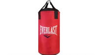 Best home gym equipment: Everlast Junior 2ft Boxing Punch Bag and Junior Gloves