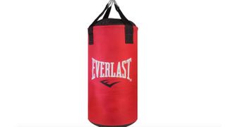 Everlast Junior 2ft Boxing Punch Bag and Junior Gloves