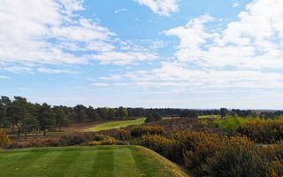 A Love Letter To Sunningdale