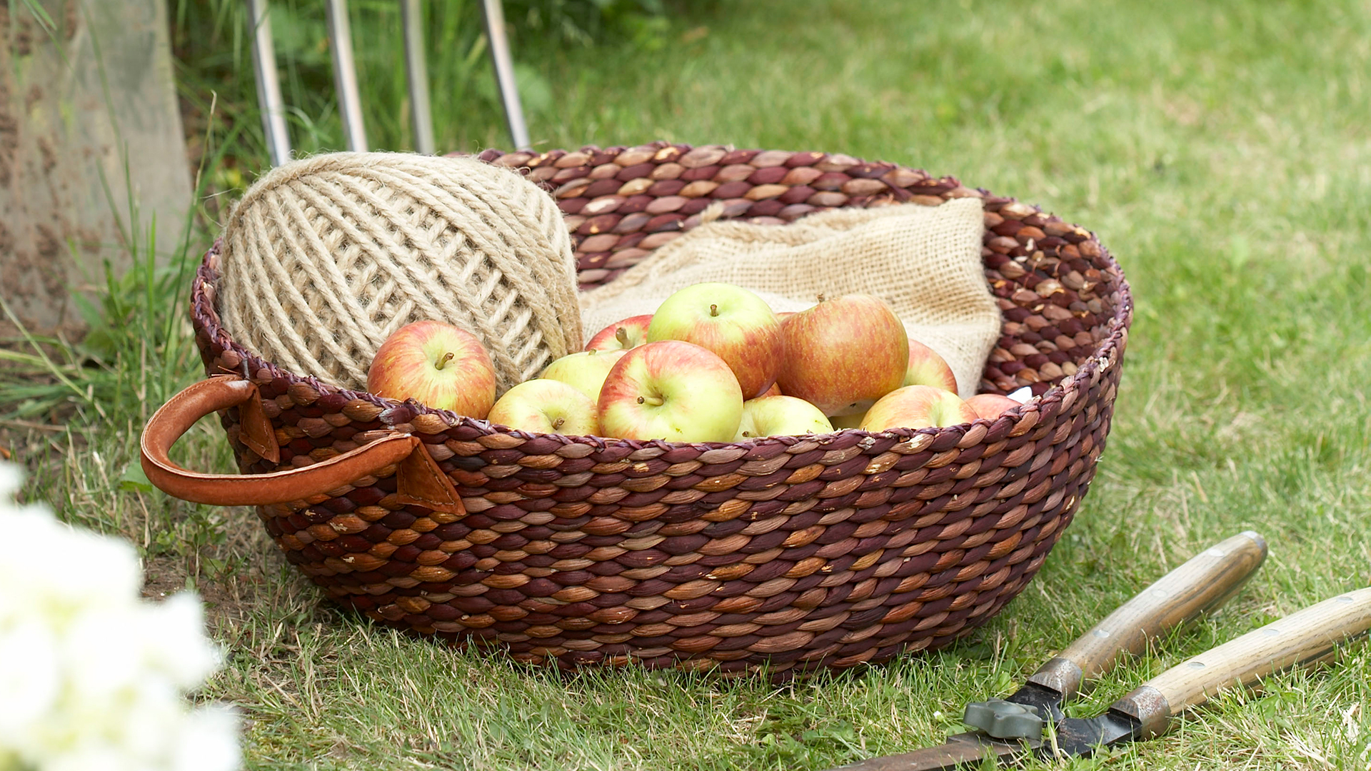 Woden basket in a the garden filled with apples and a ball of garden twine