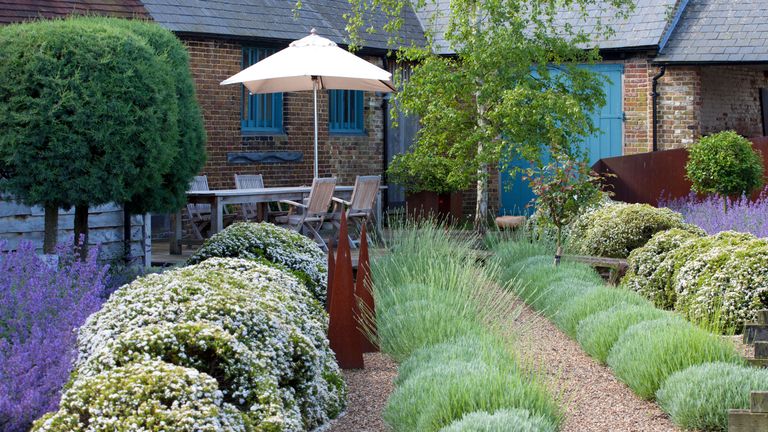 how to create a mediterranean garden with lavender, herbs and gravel
