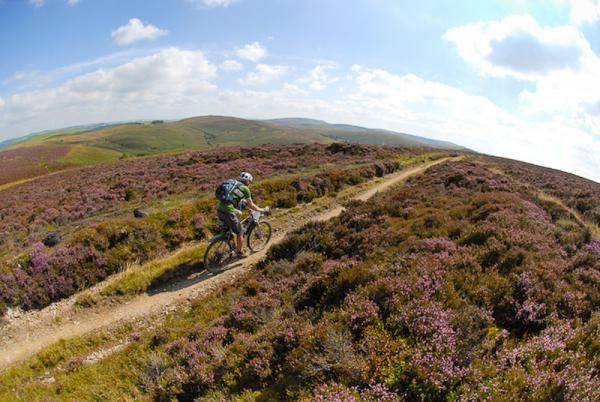 The loneliness of the TransWales competitor