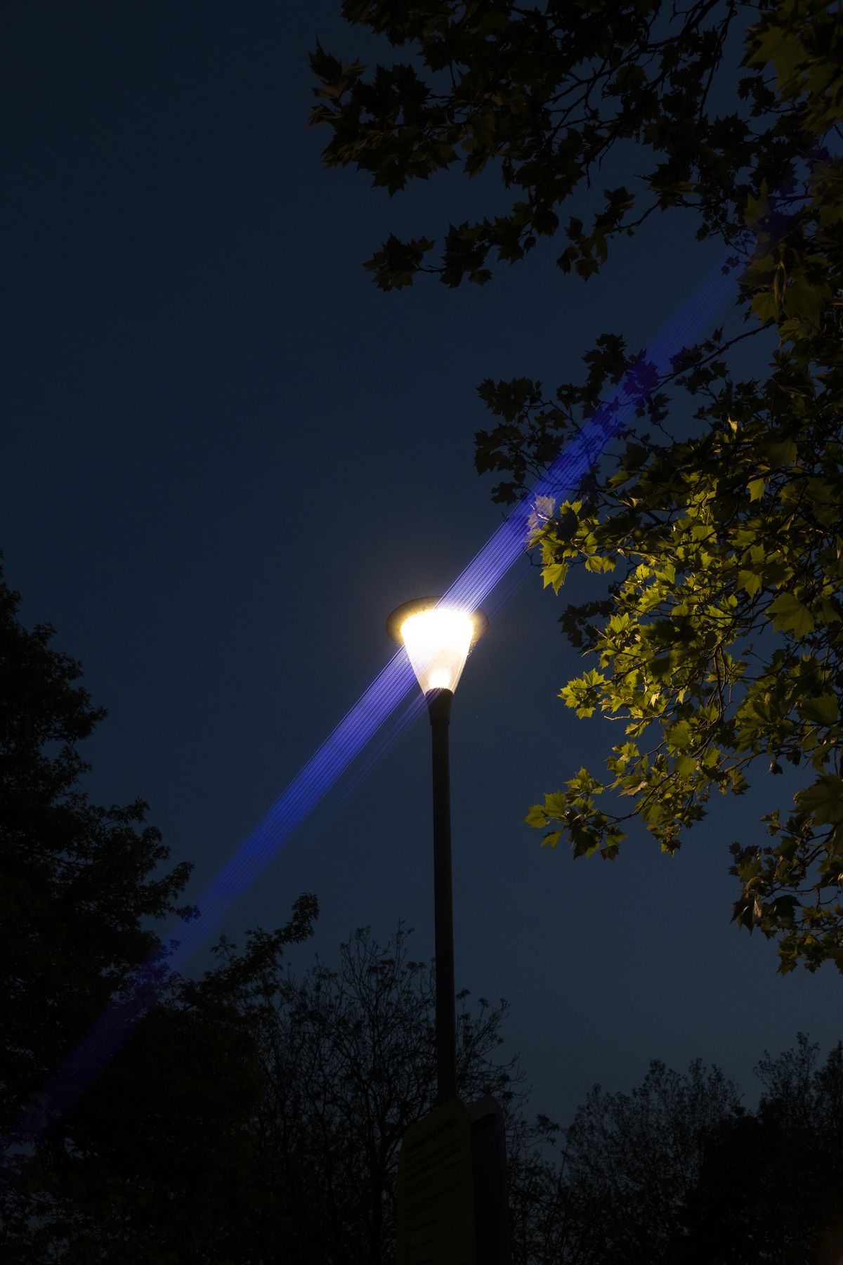 Example images of Kenko's Anamorflare filters used at twilight