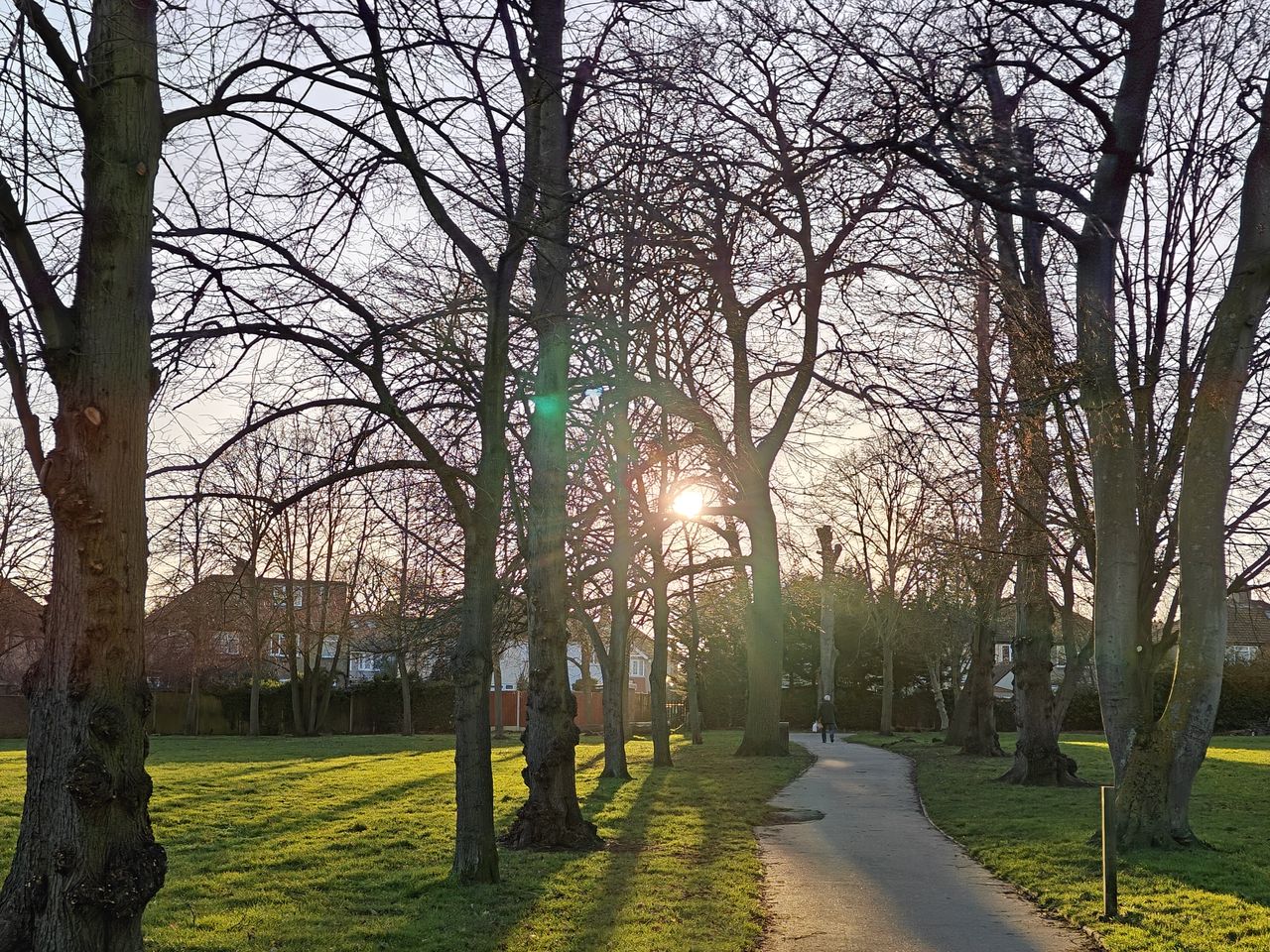A photo taken on the OnePlus 11